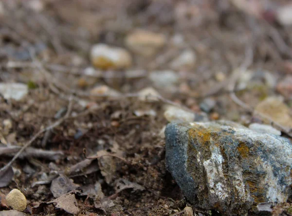 Güzel beyaz-mavi-sarı taş baharda yakın plan.