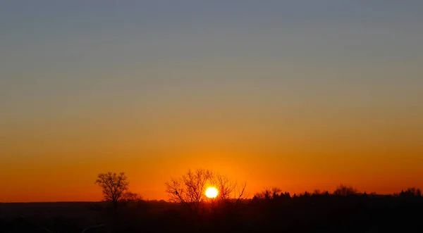 Güzel gün doğumu. Bulutsuz gökyüzü. Dalında kuş olan bir ağacın silueti..