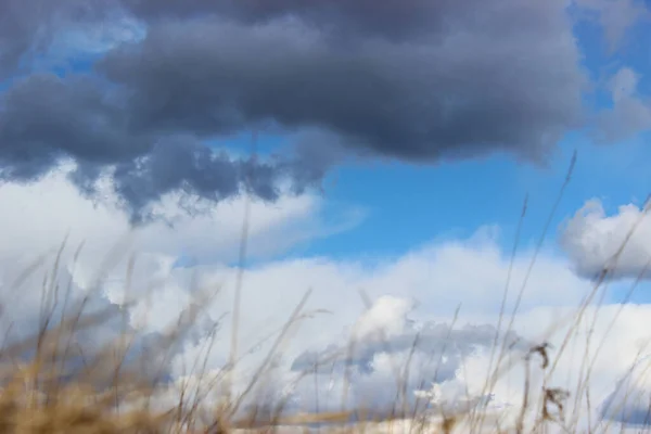 Mavi gökyüzünde güzel şekilli siyah ve beyaz bulutlar, ön plandaki çimlerin arasından görülüyor..
