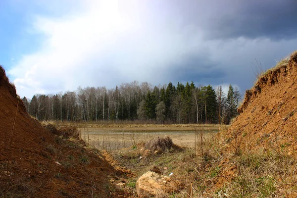 Güneşin altında bir orman şeridi. Ön planda V şeklinde bir kıyı var..