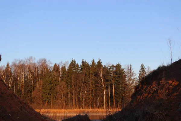 Sabah güneşinde bir orman şeridi. Ön planda W şeklinde bir kıyı var..