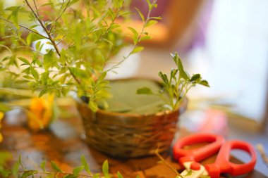 Çiçek düzenleme atölyesinin, çiçek ve yeşilliklerin fotoğrafını çek.