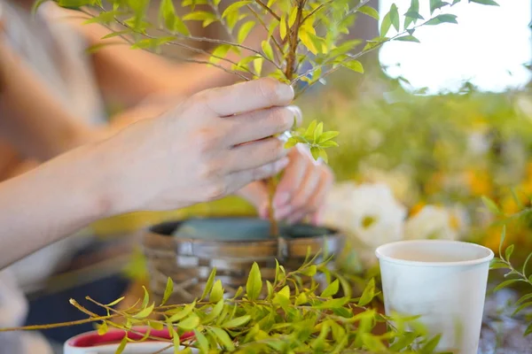 Schnappschuss Vom Gesteckworkshop Zur Dekoration Von Blumen Und Grünpflanzen — Stockfoto