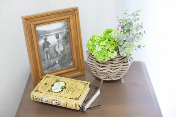 Eine Dekorative Pflanze Die Ihrem Leben Wohnzimmer Farbe Verleiht — Stockfoto