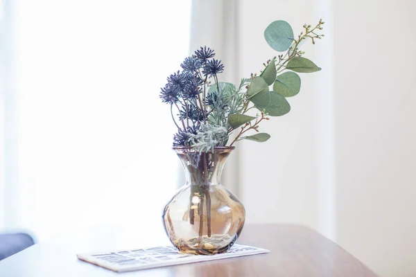 Uma Planta Decorativa Que Adiciona Cor Sua Vida Uma Sala — Fotografia de Stock