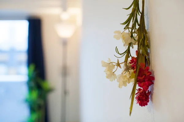 Uma Planta Decorativa Que Adiciona Cor Sua Vida Uma Sala — Fotografia de Stock