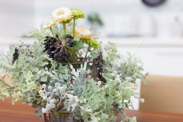 Uma Planta Decorativa Que Adiciona Cor Sua Vida Uma Sala — Fotografia de Stock