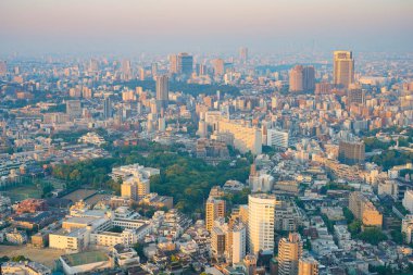 Tokyo şehir manzarası Gün doğumunda Şafak vakti gökyüzü parladığında