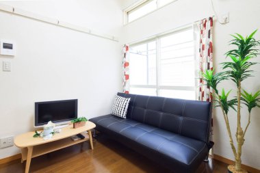 Temiz ve rahatlatıcı bir oturma odasında kanepe ve yastıklar