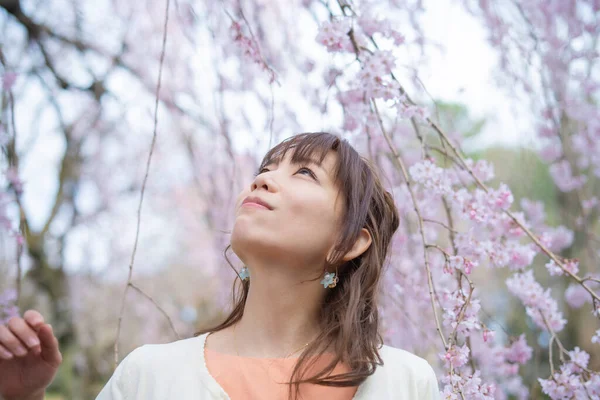 Asiatische Junge Frau Genießt Kirschblütenblumen Voller Blüte Frühling — Stockfoto