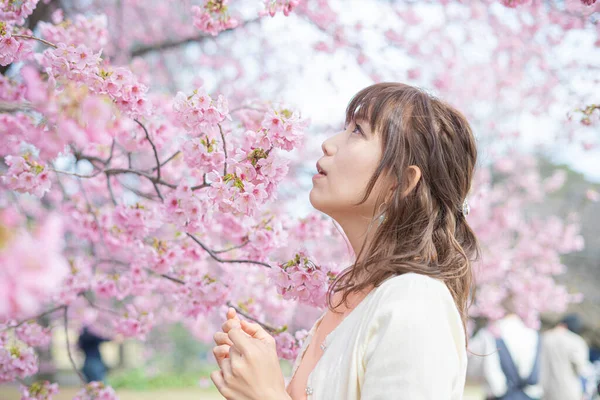 Asiática Jovem Mulher Desfrutando Flores Cerejeira Plena Flor Primavera — Fotografia de Stock