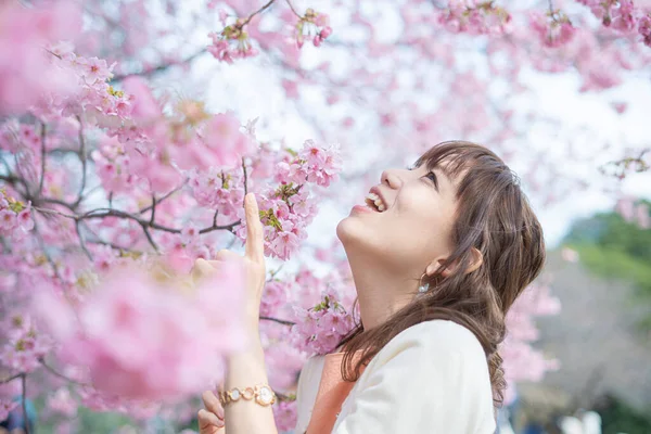 Asiática Jovem Mulher Desfrutando Flores Cerejeira Plena Flor Primavera — Fotografia de Stock