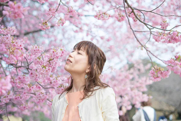 Asiática Jovem Mulher Desfrutando Flores Cerejeira Plena Flor Primavera — Fotografia de Stock