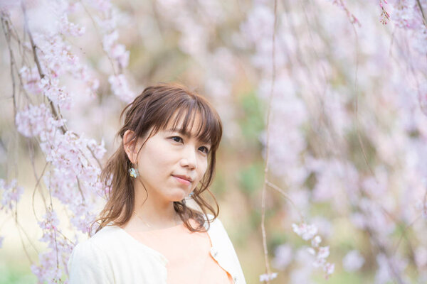 Asian young woman enjoying cherry blossom flowers in full bloom in spring
