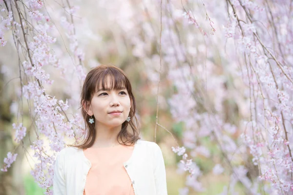 Asiatique Jeune Femme Appréciant Fleurs Cerisier Pleine Floraison Printemps — Photo