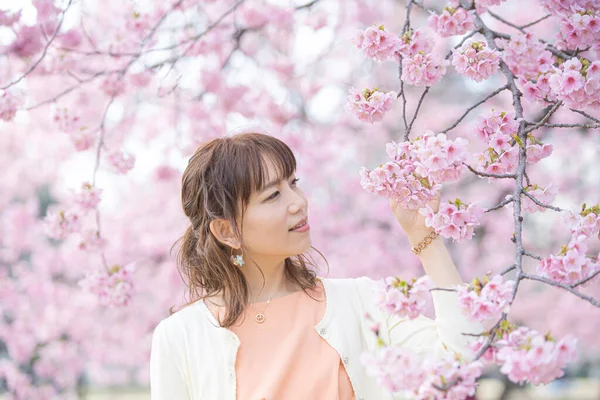 Asiática Jovem Mulher Desfrutando Flores Cerejeira Plena Flor Primavera — Fotografia de Stock