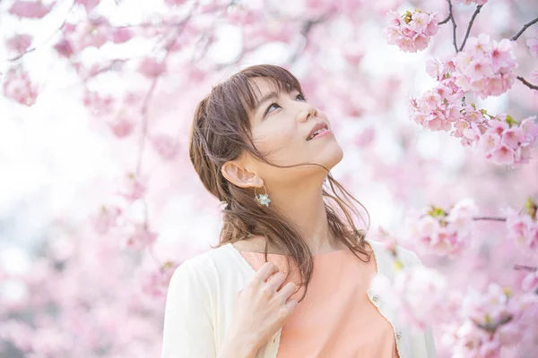 Asiática Jovem Mulher Desfrutando Flores Cerejeira Plena Flor Primavera — Fotografia de Stock