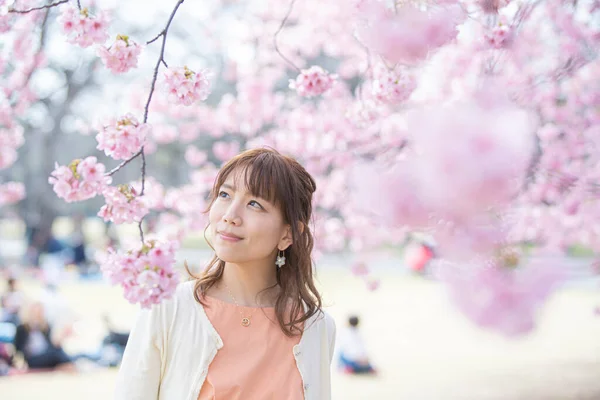 Asiática Jovem Mulher Desfrutando Flores Cerejeira Plena Flor Primavera — Fotografia de Stock