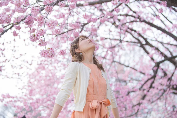 Asiatische Junge Frau Genießt Kirschblütenblumen Voller Blüte Frühling — Stockfoto