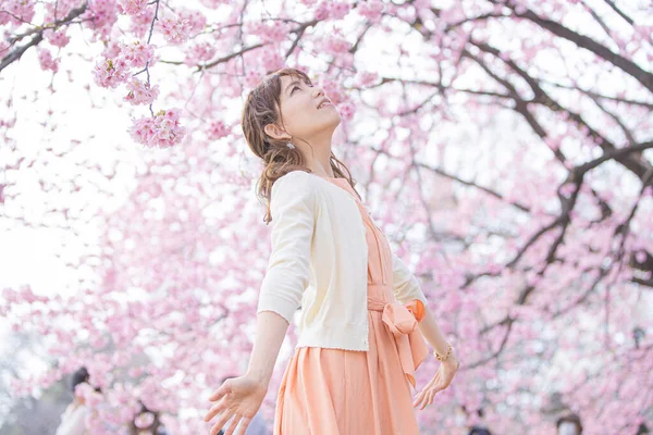 Asiatique Jeune Femme Appréciant Fleurs Cerisier Pleine Floraison Printemps — Photo