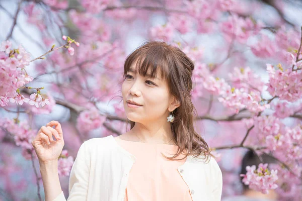 Asian Young Woman Enjoying Cherry Blossom Flowers Full Bloom Spring — Stock Photo, Image