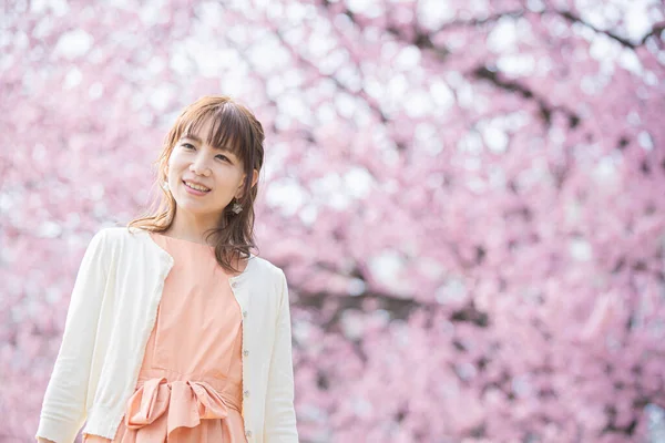 Asiática Jovem Mulher Desfrutando Flores Cerejeira Plena Flor Primavera — Fotografia de Stock