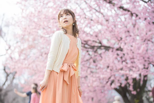 Asian Young Woman Enjoying Cherry Blossom Flowers Full Bloom Spring — Stock Photo, Image