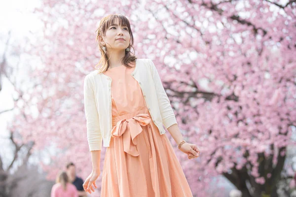 Asian Young Woman Enjoying Cherry Blossom Flowers Full Bloom Spring — Stock Photo, Image