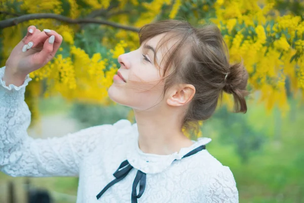 Kaukázusi Fiatal Néz Közel Virágzó Mimóza Virágok — Stock Fotó