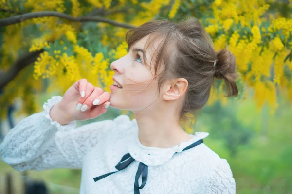 Caucasian Young Woman Gazing Close Blooming Mimosa Flowers — Stock Photo, Image