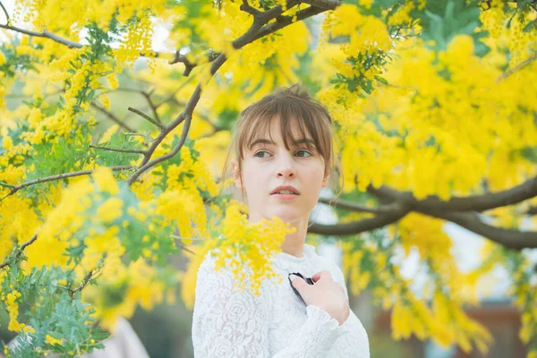 Mulher Jovem Caucasiana Olhando Perto Das Flores Mimosa Florescendo — Fotografia de Stock