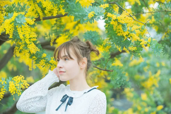 Mulher Jovem Caucasiana Olhando Perto Das Flores Mimosa Florescendo — Fotografia de Stock