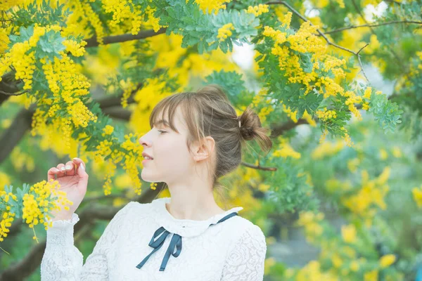 Mulher Jovem Caucasiana Olhando Perto Das Flores Mimosa Florescendo — Fotografia de Stock