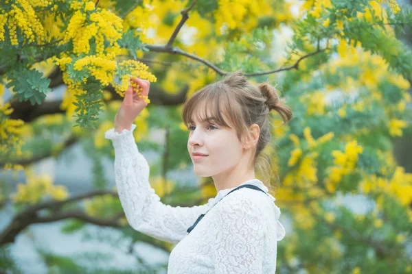 Caucasian young woman gazing close to the blooming mimosa flowers