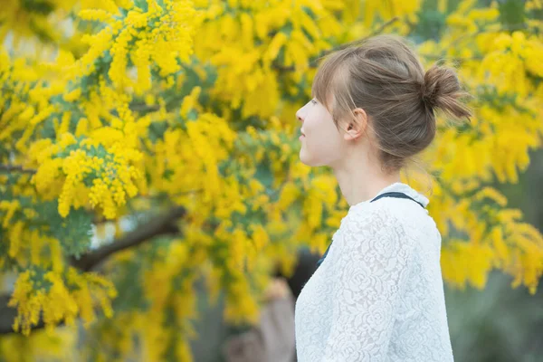 Mujer Joven Caucásica Mirando Cerca Las Flores Mimosa Florecientes —  Fotos de Stock