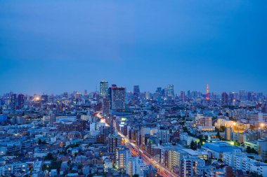 Japon şehrinin gece manzarasına bakan bir manzara fotoğrafı.