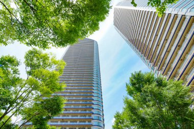 Yeşil bölgede yükselen kuleye bakıyorum.