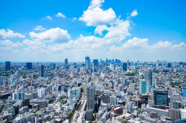 Tokyo, Japonya 'da güneşli bir günde şehir manzarası ve mavi gökyüzü
