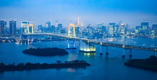 Krajina Fotografie Která Přehlíží Noční Pohled Japonské Město — Stock fotografie