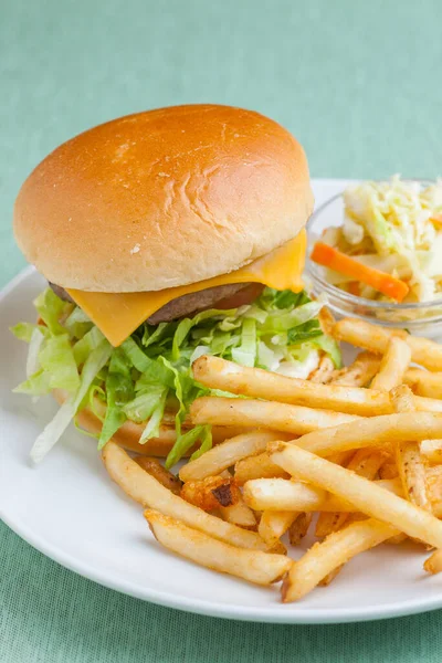 Lunch Set Vegetables Cheese Hamburger French Fries Salad — Stock Photo, Image