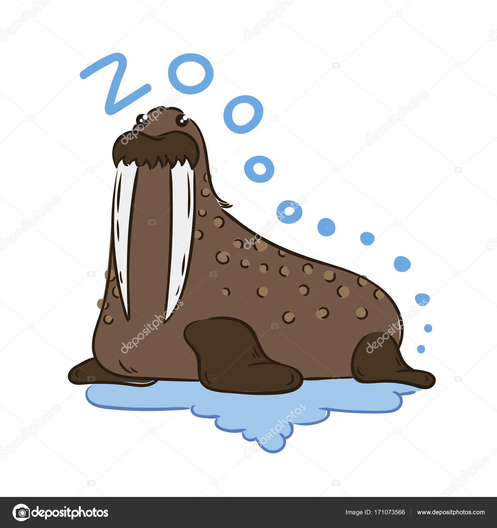 新鮮なセイウチ イラスト かわいい動物画像