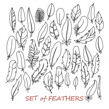 Vektör süslü Set stilize ve soyut tüyler.