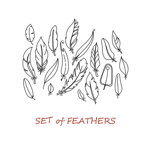Ensemble de plumes décorées vectorielles stylisées et abstraites . — Image vectorielle
