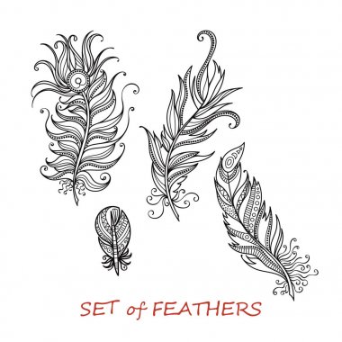 Vektör süslü Set stilize ve soyut Zentangle tüyler.