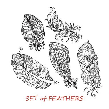 Vektör süslü Set stilize ve soyut Zentangle tüyler.