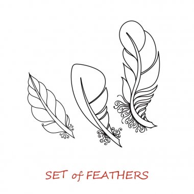 Vektör süslü Set stilize ve soyut tüyler.