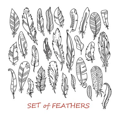 Vektör süslü Set stilize ve soyut tüyler.