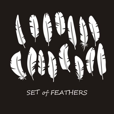 Stilize ve siluet tasarlamak tüy vektör süslü kümesi.