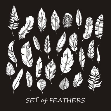 Stilize ve siluet tasarlamak tüy vektör süslü kümesi.