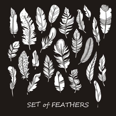 Stilize ve siluet tasarlamak tüy vektör süslü kümesi.